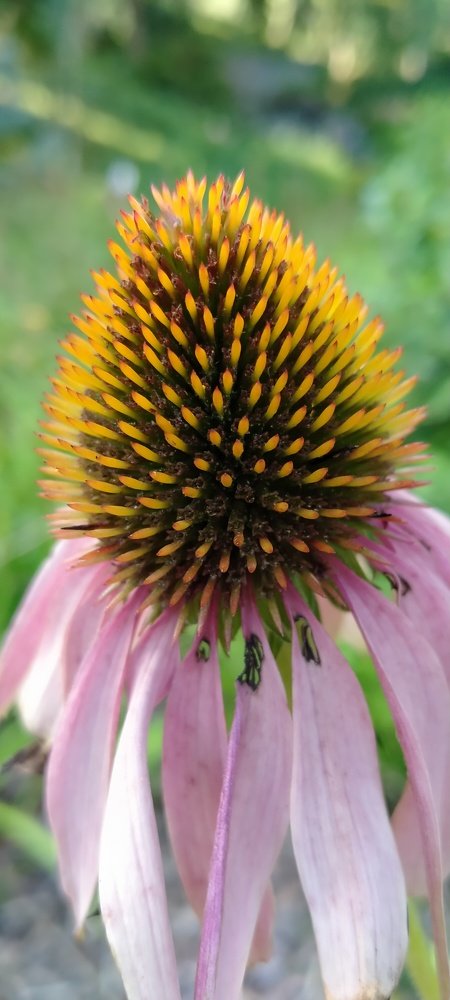 Photograph by Chinara