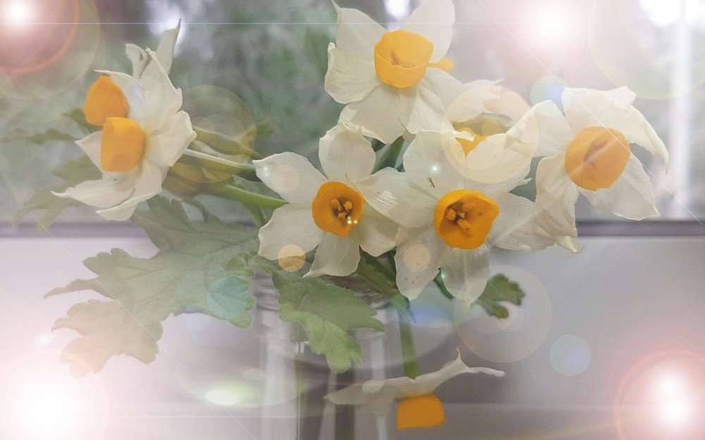 Photograph by Carina Albelda