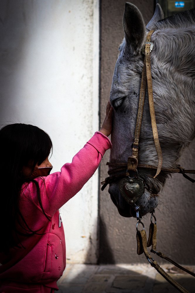 Photograph by Pablo Ezequiel Desima Teseira