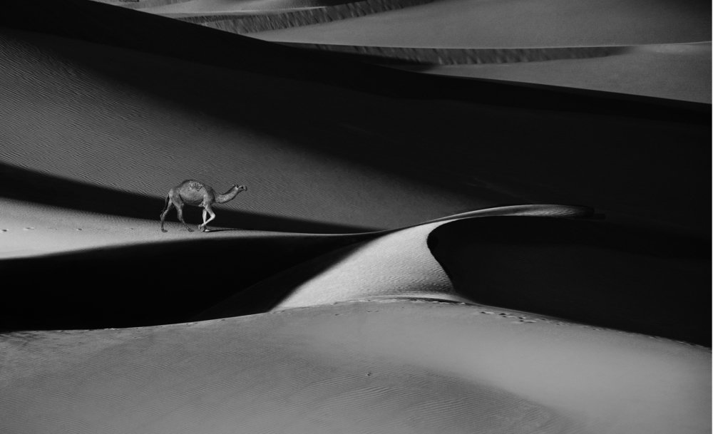 Photograph by Aqeel Ghanem