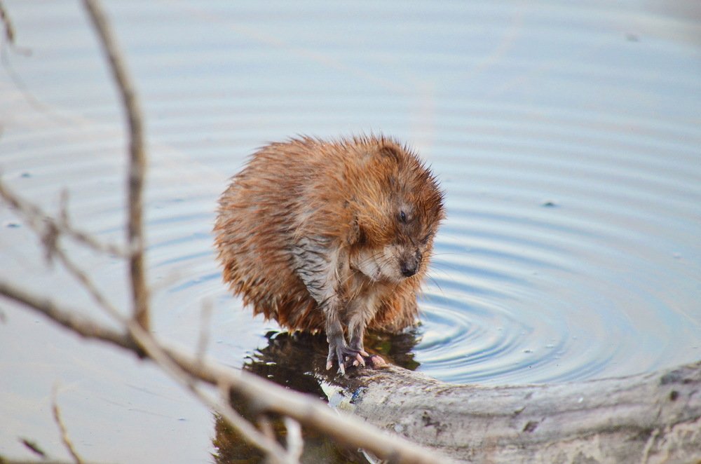 Ты меня смущаешь...