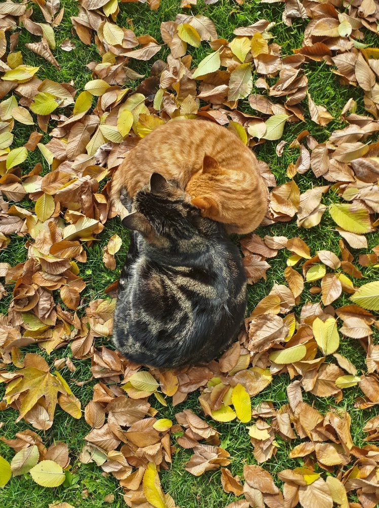 Photograph by Farshad Yazdankhah