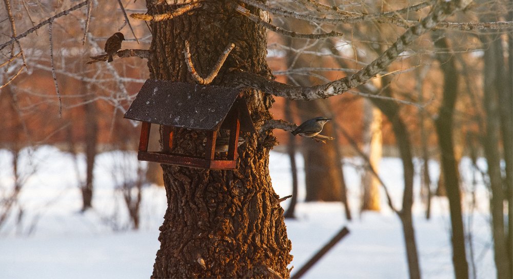 Общественная столовая.
