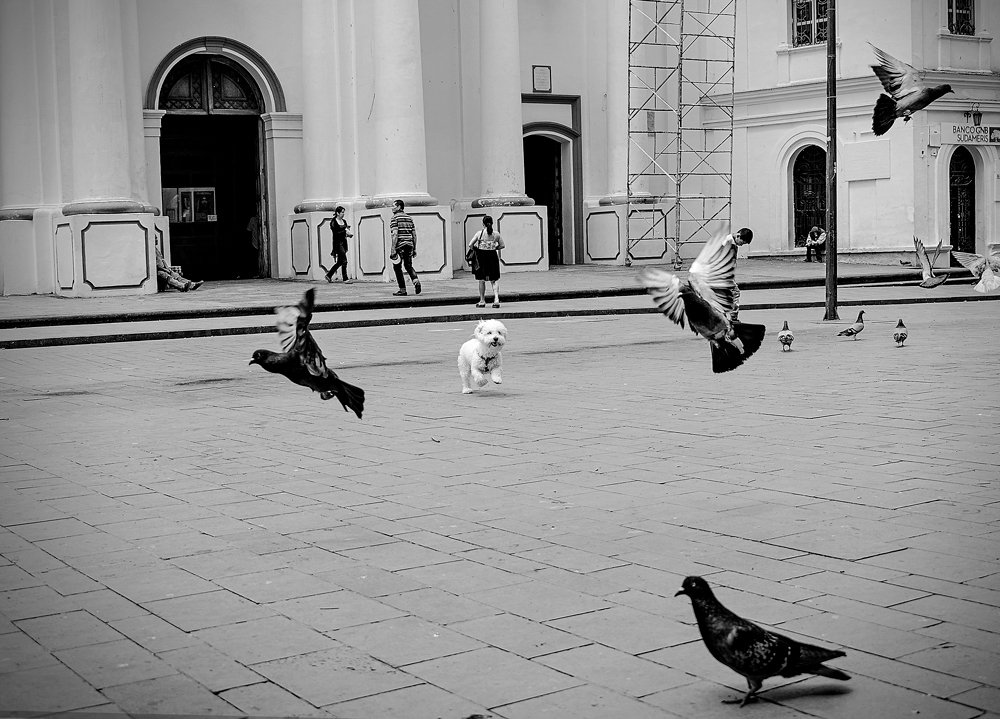 Photograph by Lizeth Andrea Caicedo