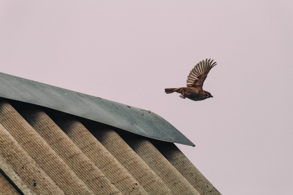 Замершее время.