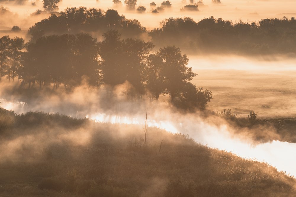 Photograph by Uliya Krakos