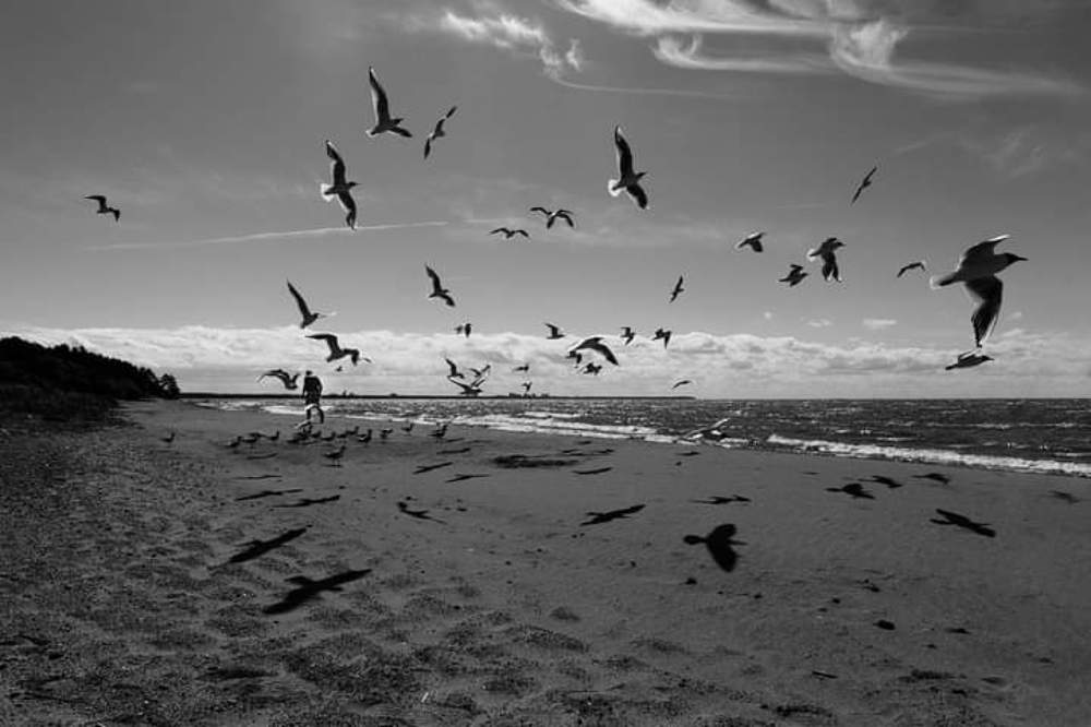 Photograph by Светлана Воробьёва