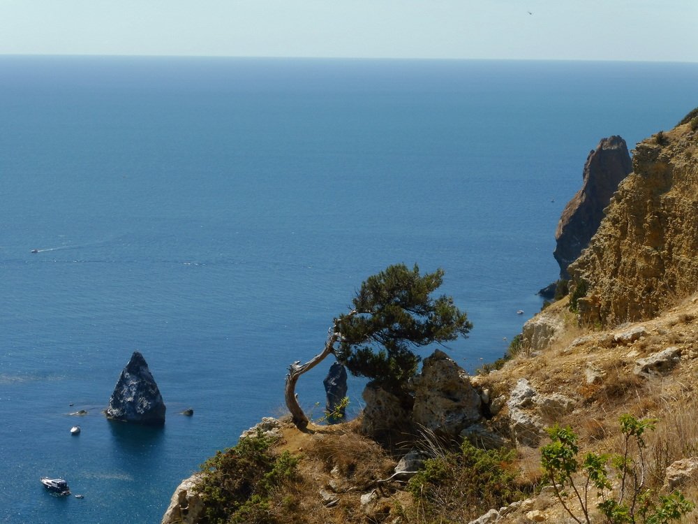 Photograph by Елена Коробкина