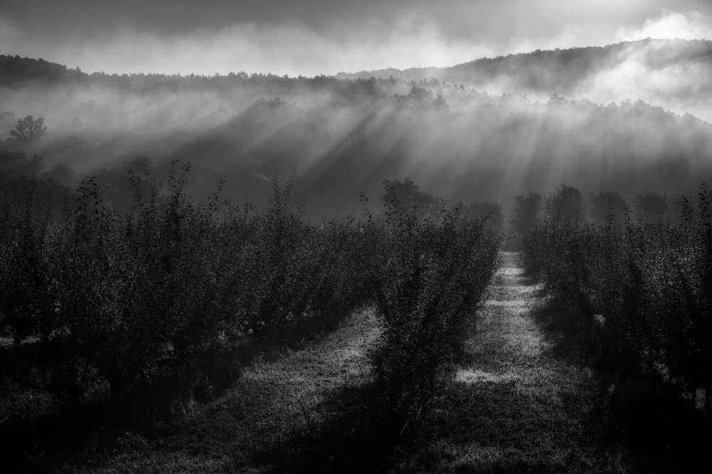 Photograph by Аркадий Саямов