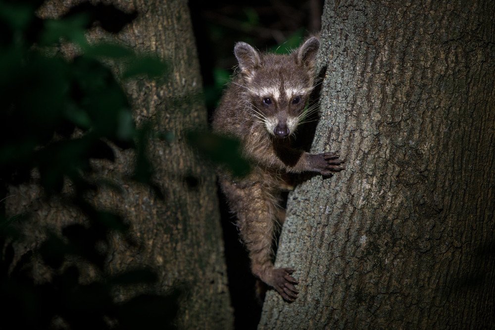 Photograph by Аркадий Саямов