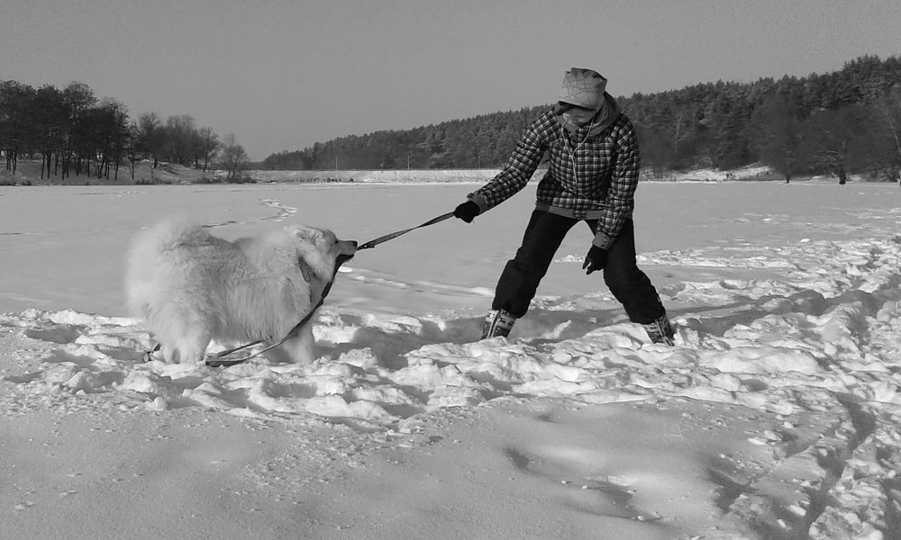 Посреди реки