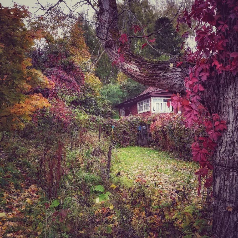 Photograph by Ольга Павленко