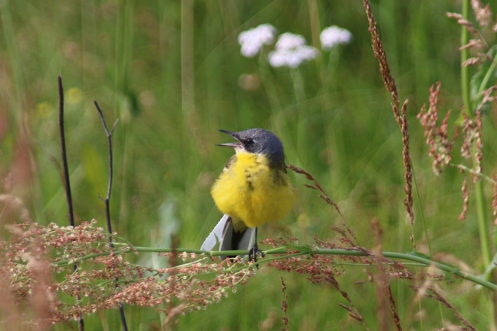 Photograph by Алексей Федулов