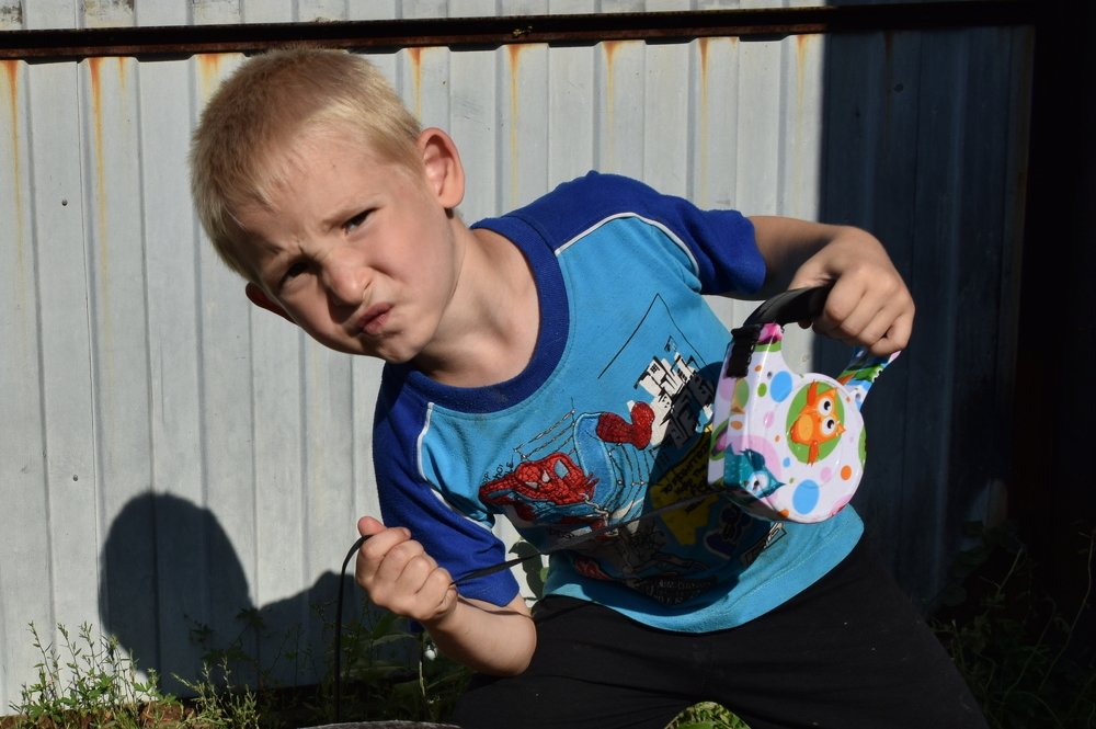 Я гуляю с собакой