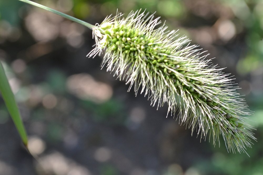 Photograph by Камила Борисоглебская