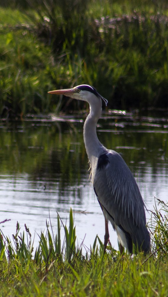 Photograph by Steven Valkenberg