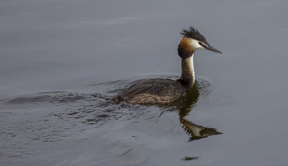 Photograph by Steven Valkenberg