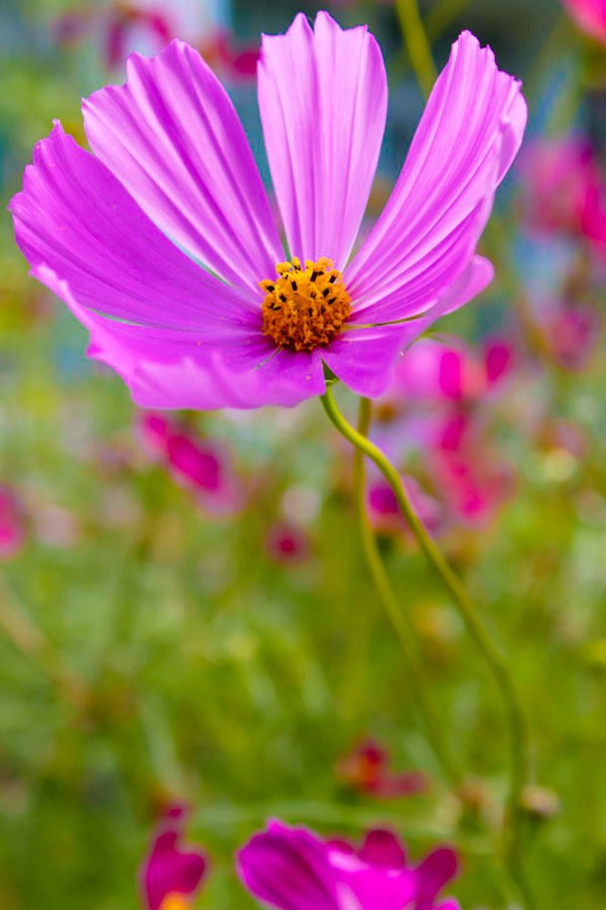 Photograph by Светлана Баринова