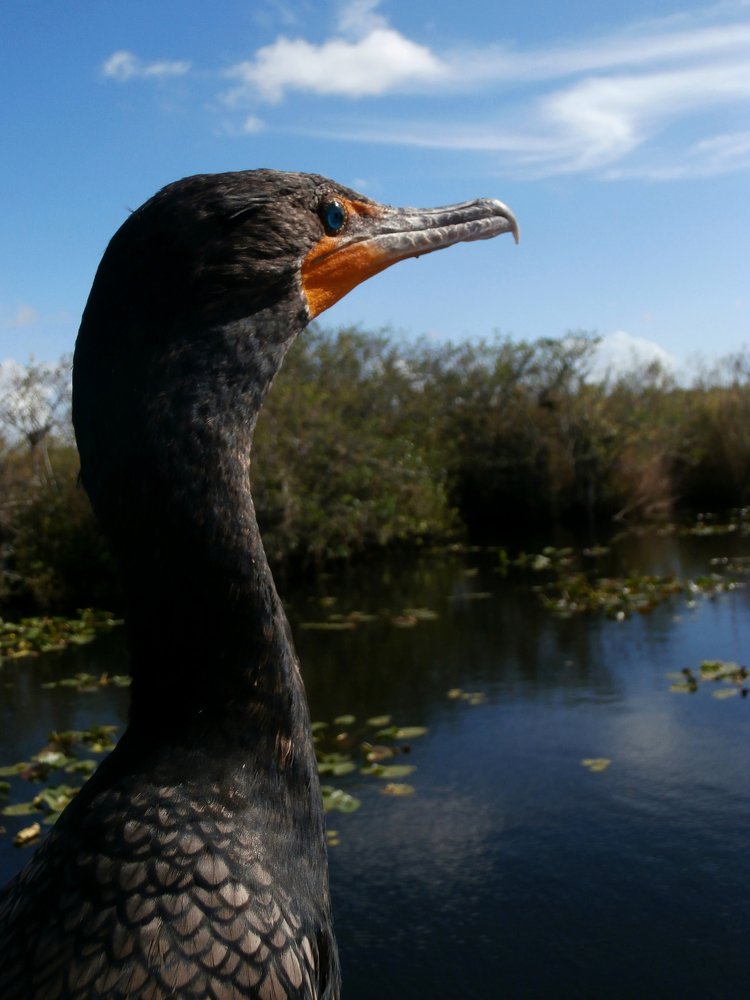 Photograph by Steven Valkenberg