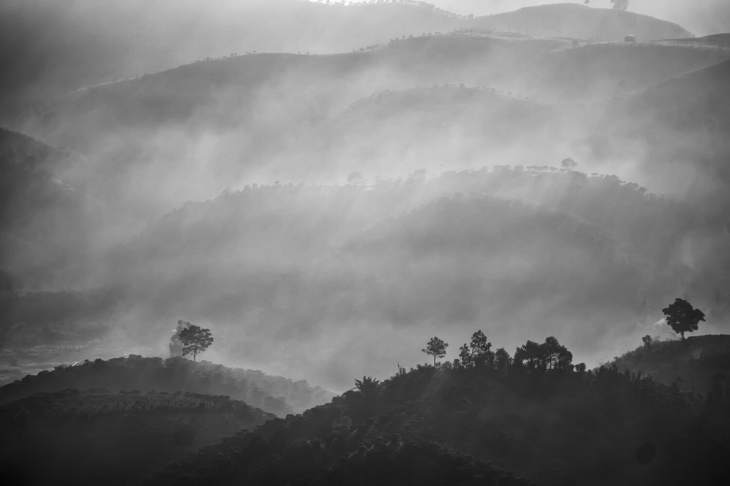 Photo #4900453