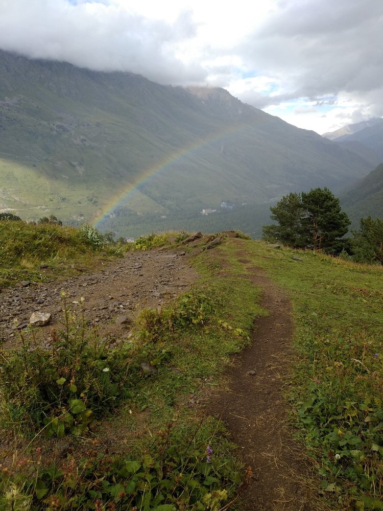 Photo #4900481