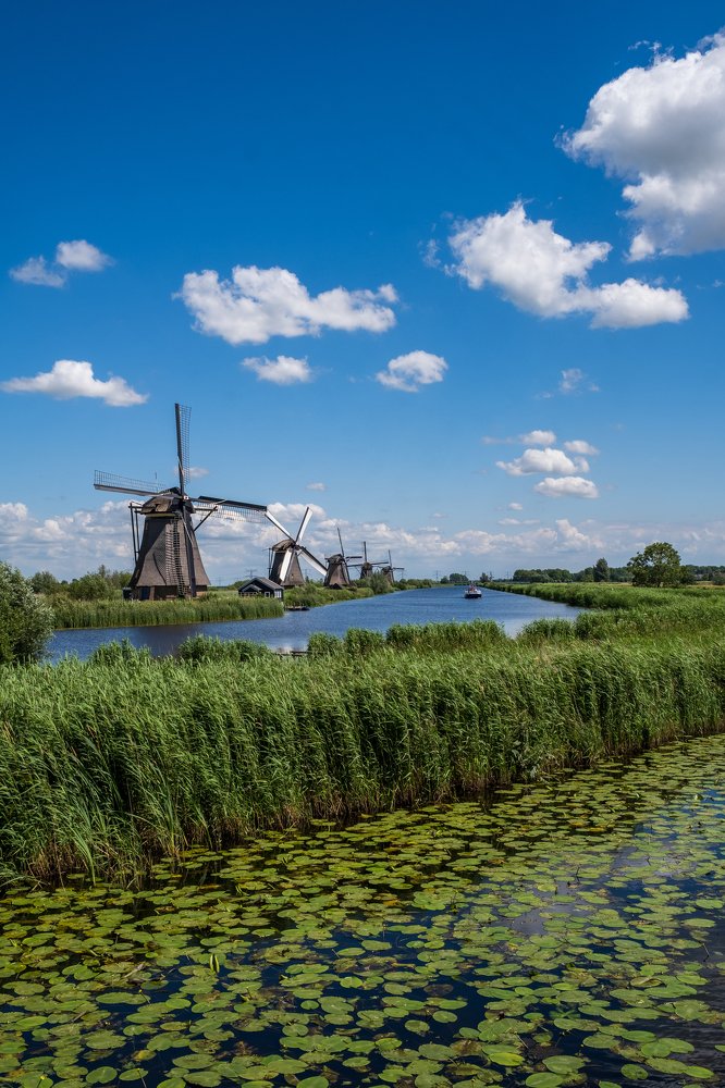 Фотография автора Ольга Огиенко