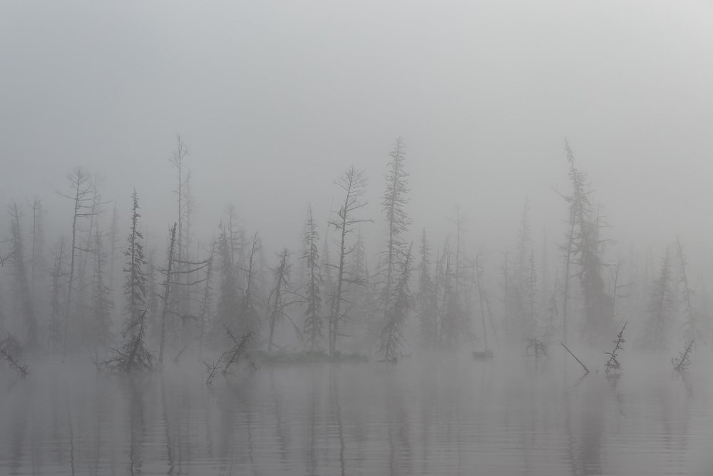 Photograph by Александр Ипполитов