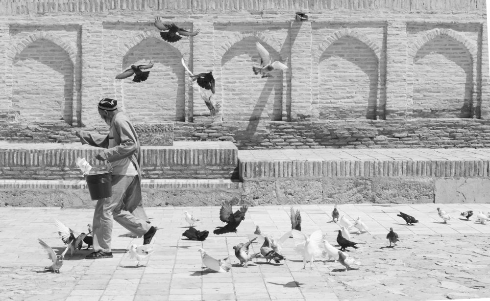 Photograph by Жанна Шаталина