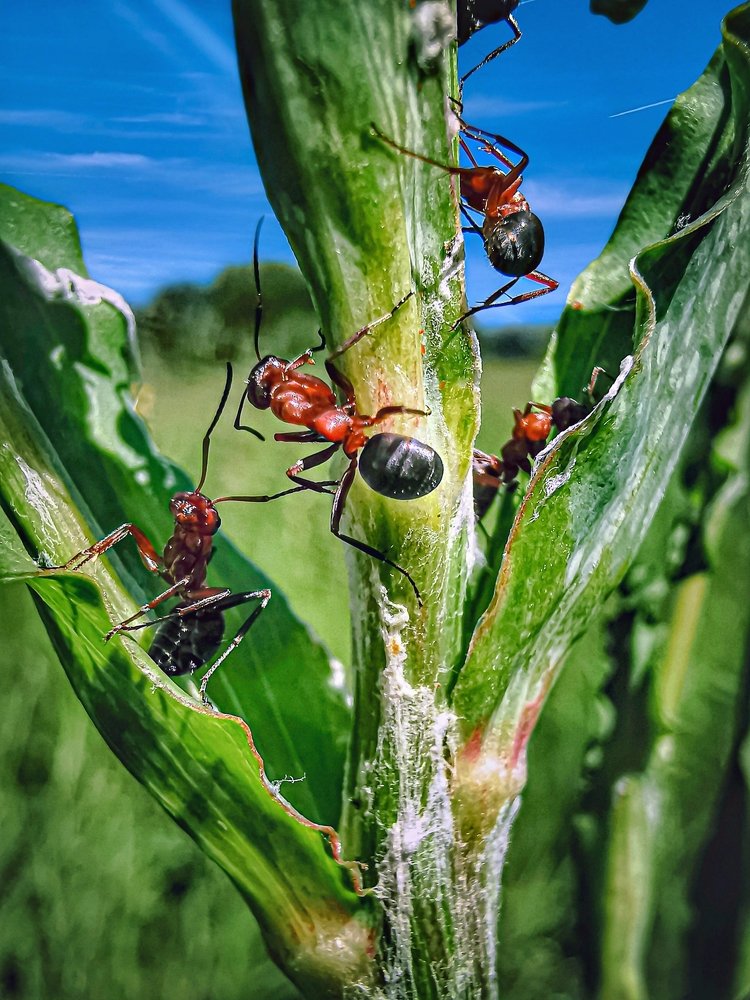 Photograph by Сергей Таранов