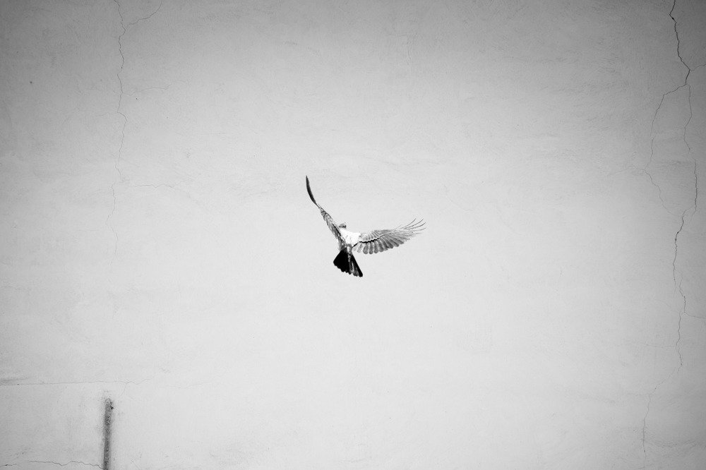 Photograph by tamaddon homayoun