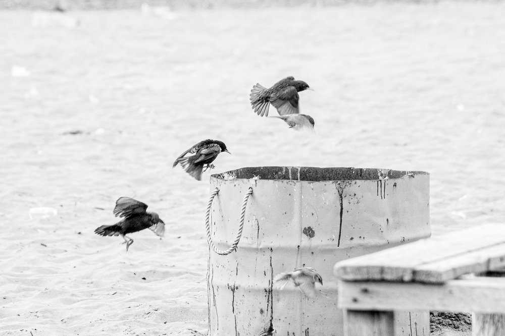 Photograph by tamaddon homayoun