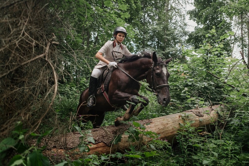 езда по пересеченной местности
