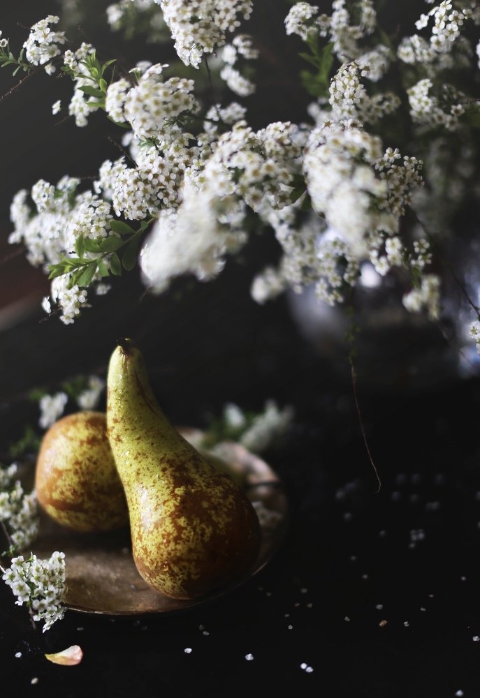 Photograph by Ксения Максименко