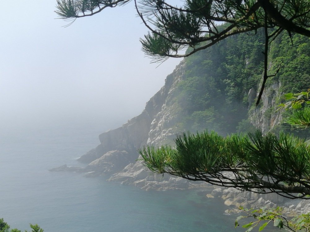 Photograph by Елена