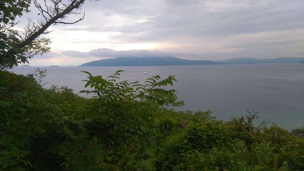 Photograph by Елена