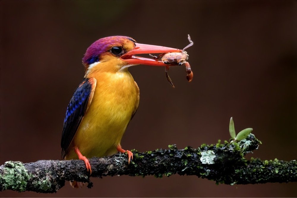 Photograph by Vishwanath Mukunda