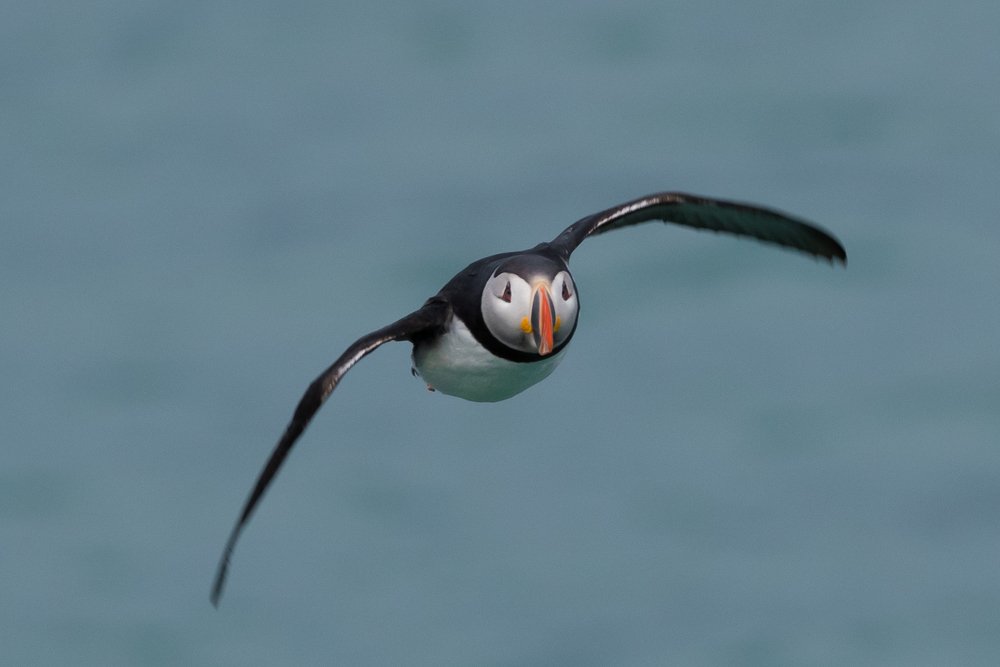 Photograph by Dominik Gugerli