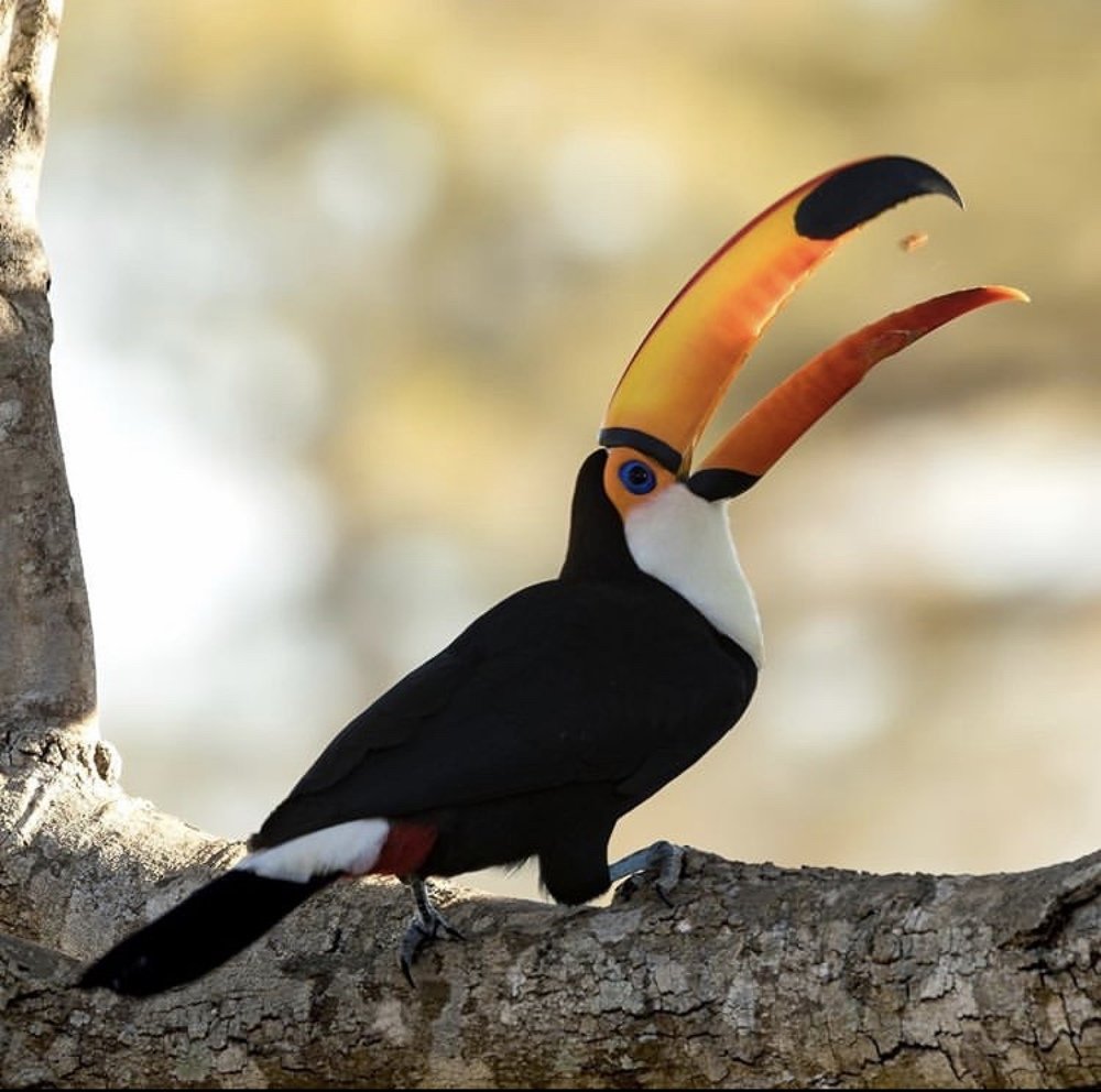 Photograph by Vishwanath Mukunda