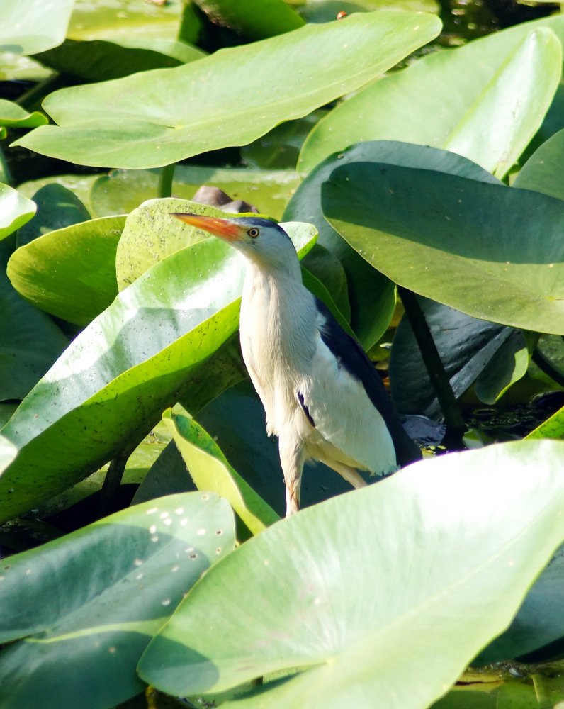 Photograph by Danyliuk Ruslan