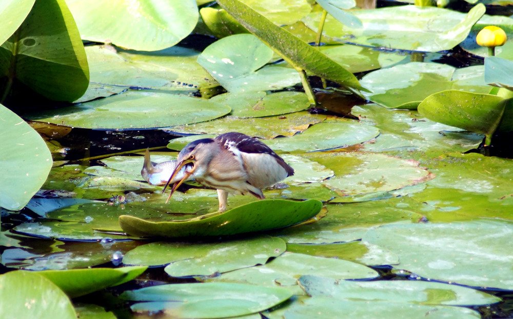 Photograph by Danyliuk Ruslan