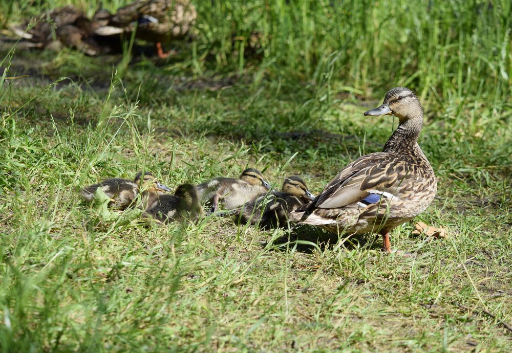 Photograph by Наталья Ченчикова