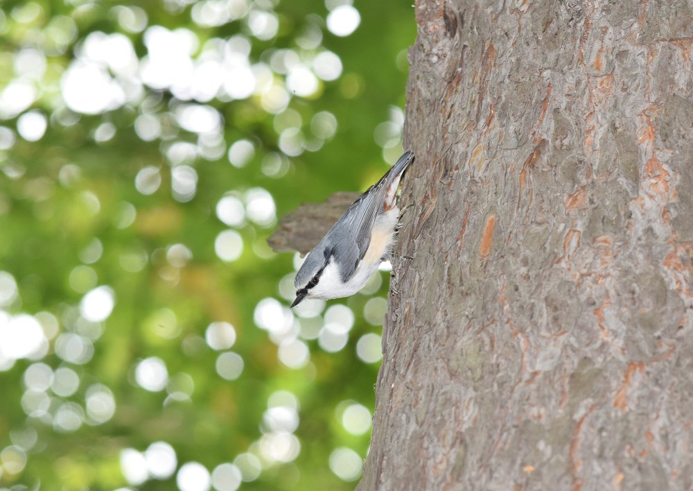 Photograph by Наталья Ченчикова