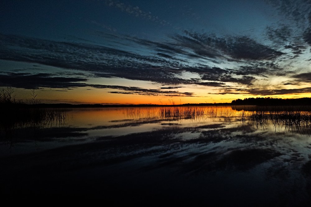 Photograph by Santa Logina