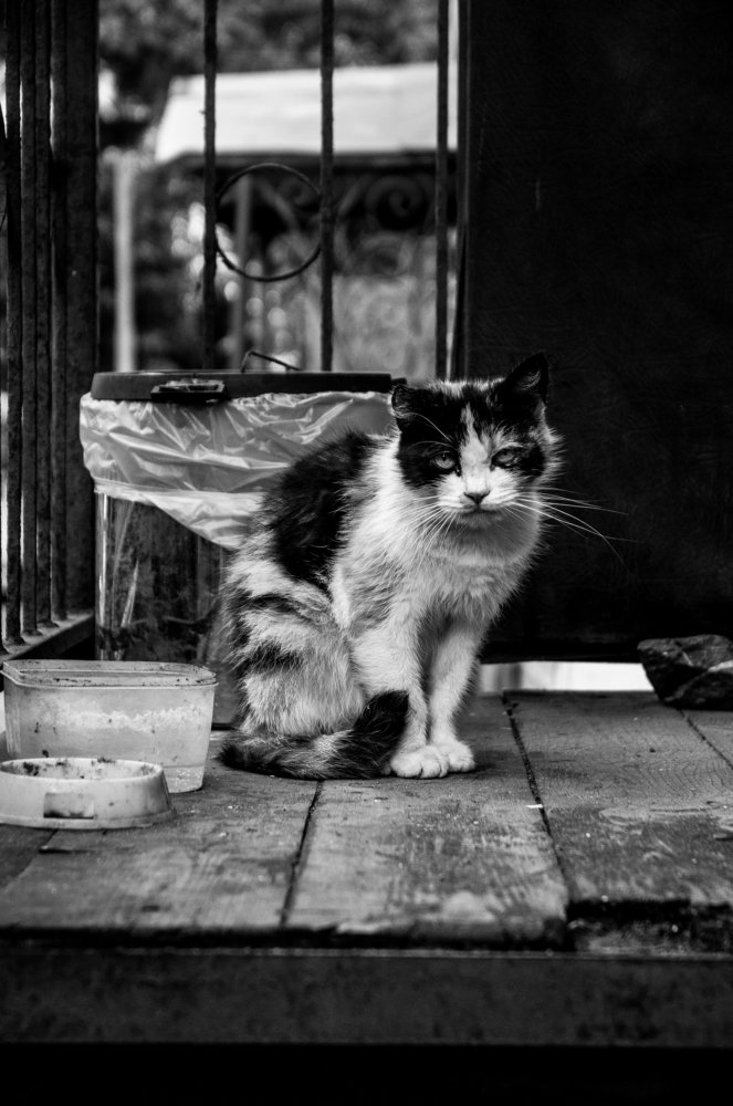 Photograph by Влад