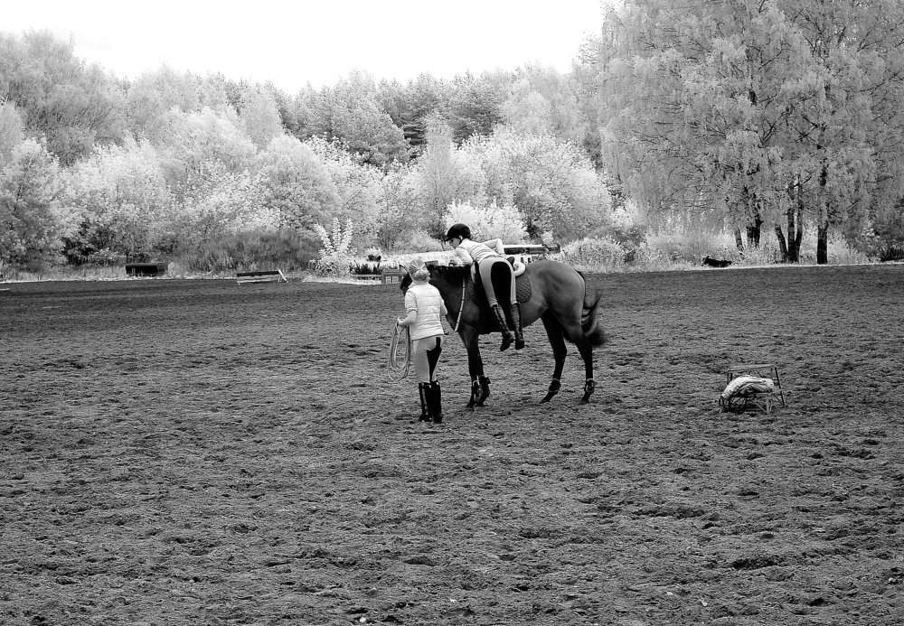 Photograph by Сергей Кузнецов