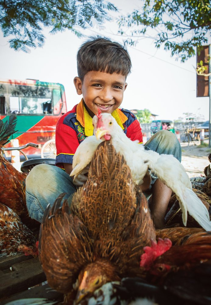 Photograph by  Dhrubo