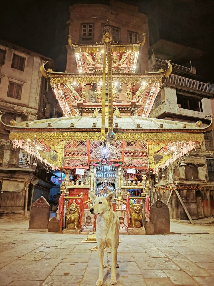 Сказки старого города