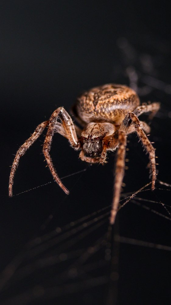 Photograph by Виталий Бодрягин