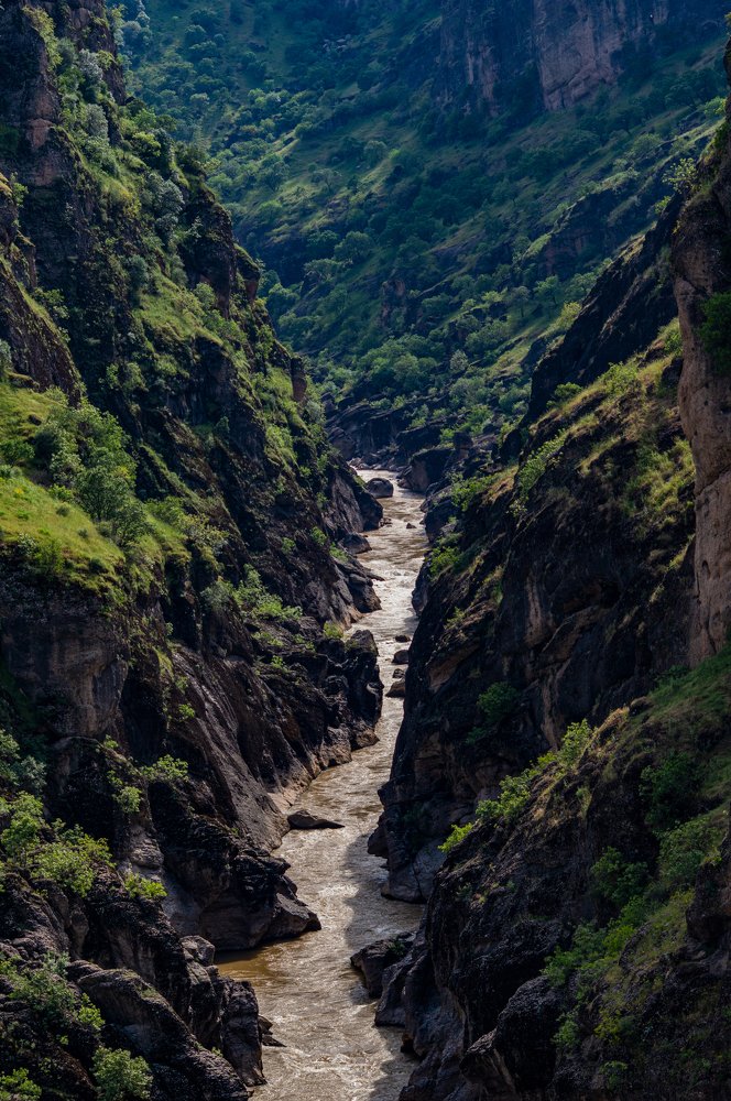 Photograph by Bnwar Abdulrahman