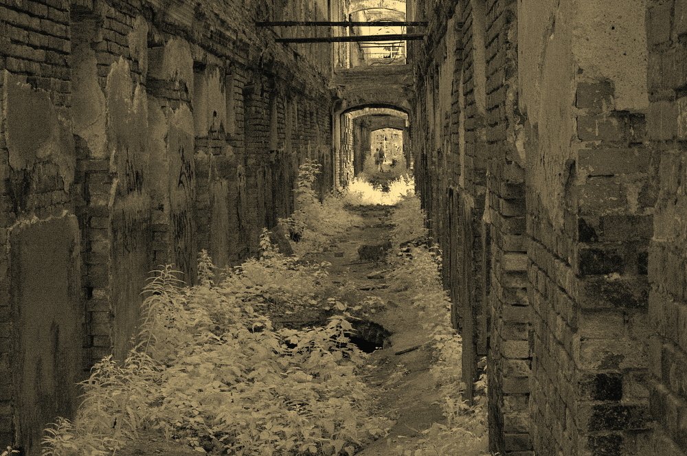 На графских развалинах.